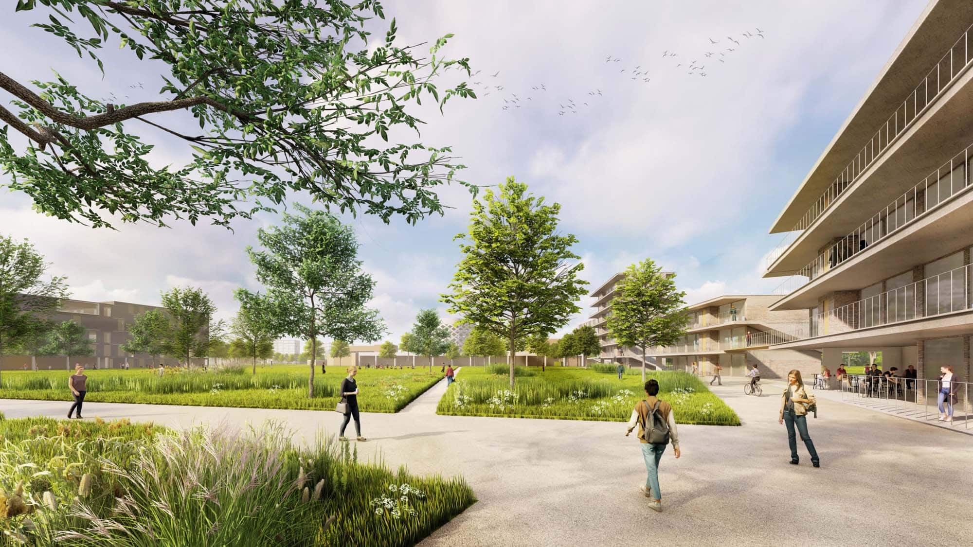 Provinciebestuur koopt parking campus Diepenbeek aan