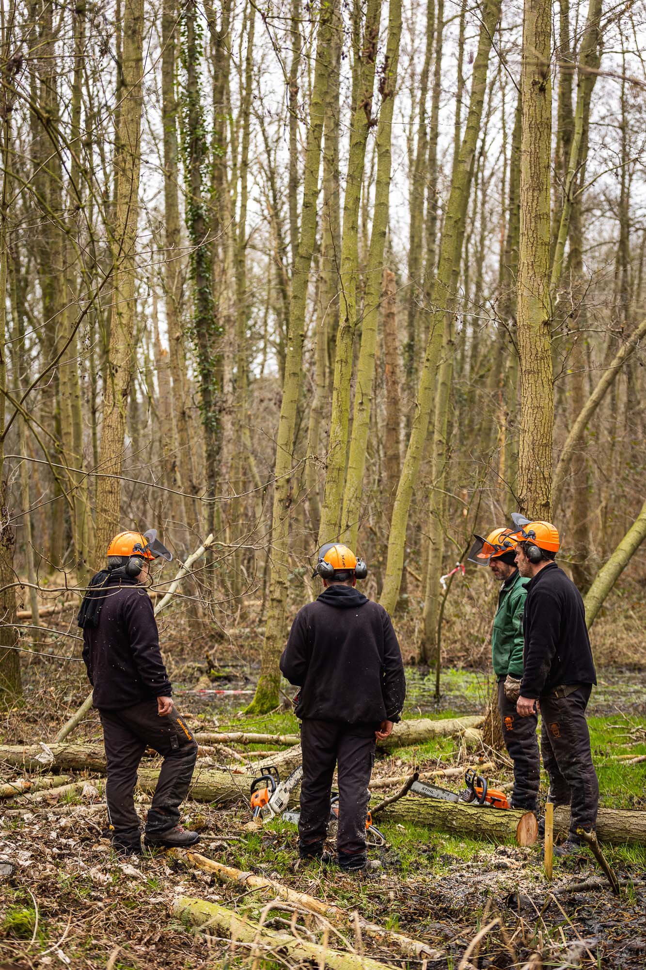 Nature on Limburg DC campus to be restored